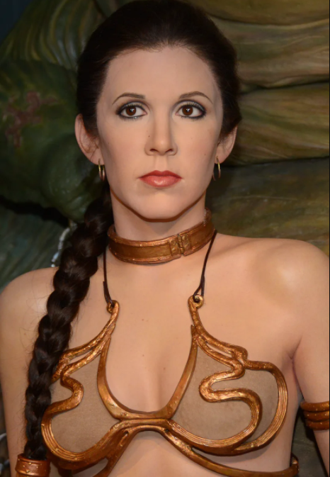 Princess Leia Sex Story